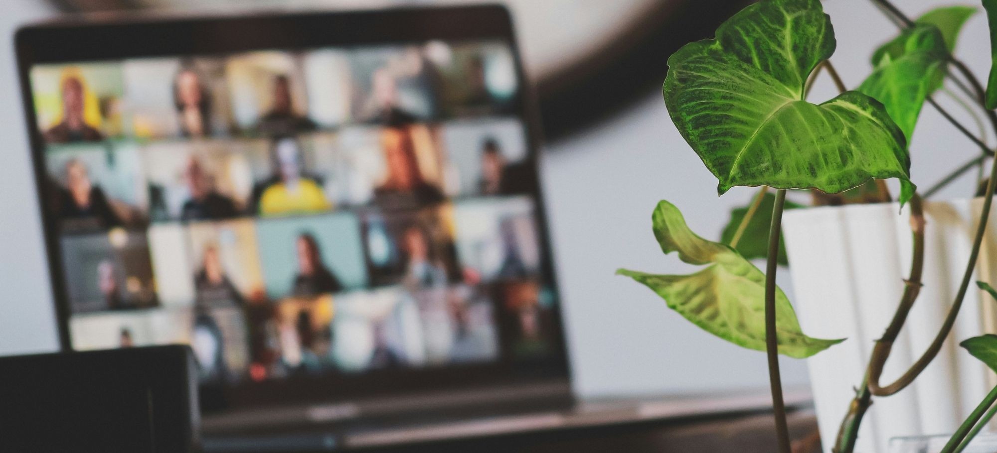 Jak wybrać idealny kurs językowy online dla dorosłych?