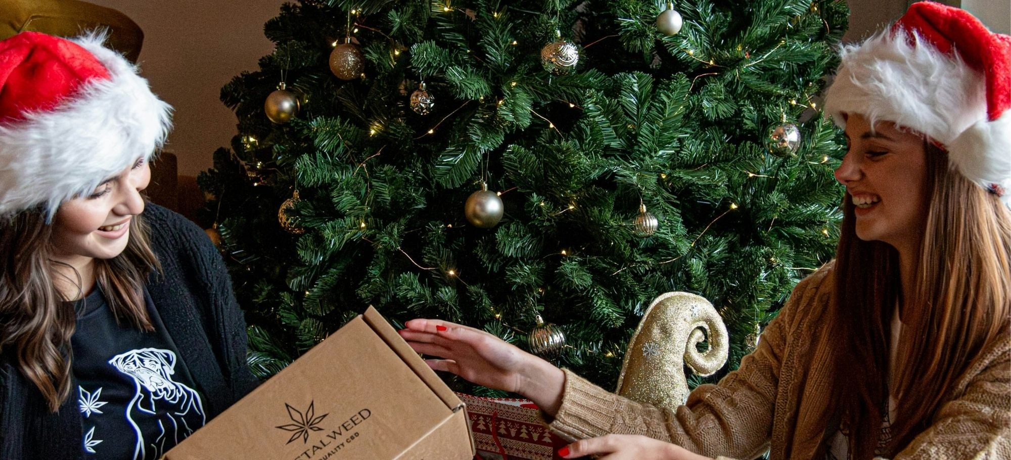 Jak przygotować się do świątecznej rozmowy po hiszpańsku lub angielsku